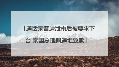 通话录音遭泄露后被要求下台 泰国总理佩通坦致歉